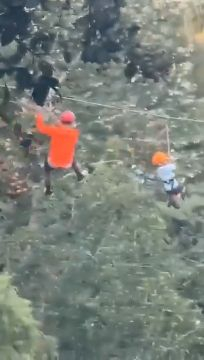 Six-year-old Boy Falls From A Height Of 12 Meters While Riding A Zip Line