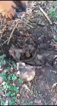 Decomposed Corpses Of Ukrainian Soldiers