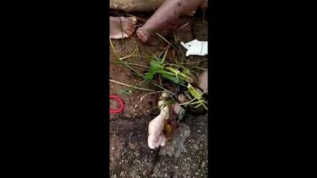 Gutted Corpse Of A Man With Severed Arms And Legs