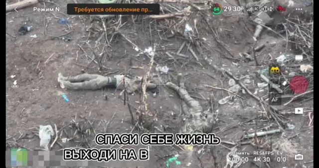 Destroyed Ukrainian Positions