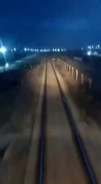 Suicide By Train