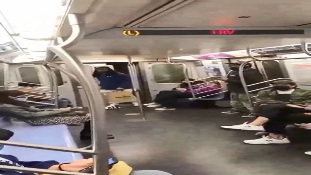 A Guy Dumps A Bag Of Rats Onto A Random Guys Head On The Subway