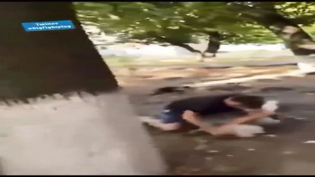 Random Man Saves Woman From Attacker