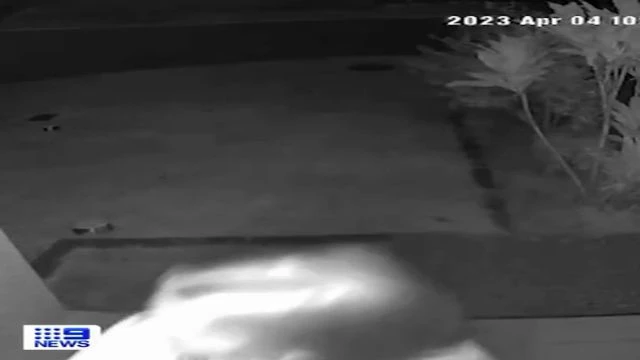 A Man Bangs On His Neighbor's Door