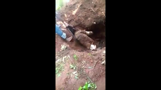 Stinky Corpse Pulled from a Burial Pit