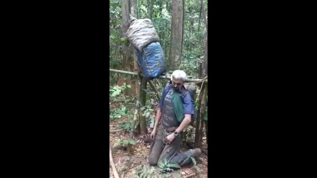 A Man Strangled Himself In The Jungle. Aftermath