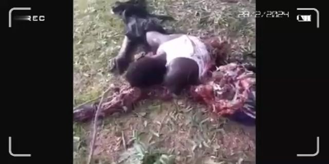 Nigerian Gang Shows Their Rivals Beheaded