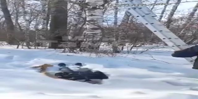 Police Remove The Frozen Body Of A Suicide From A Tree
