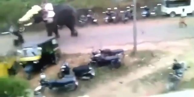 Elephant Rampages Destroyed A Motorcycle And Some Carriages. Pure Destruction