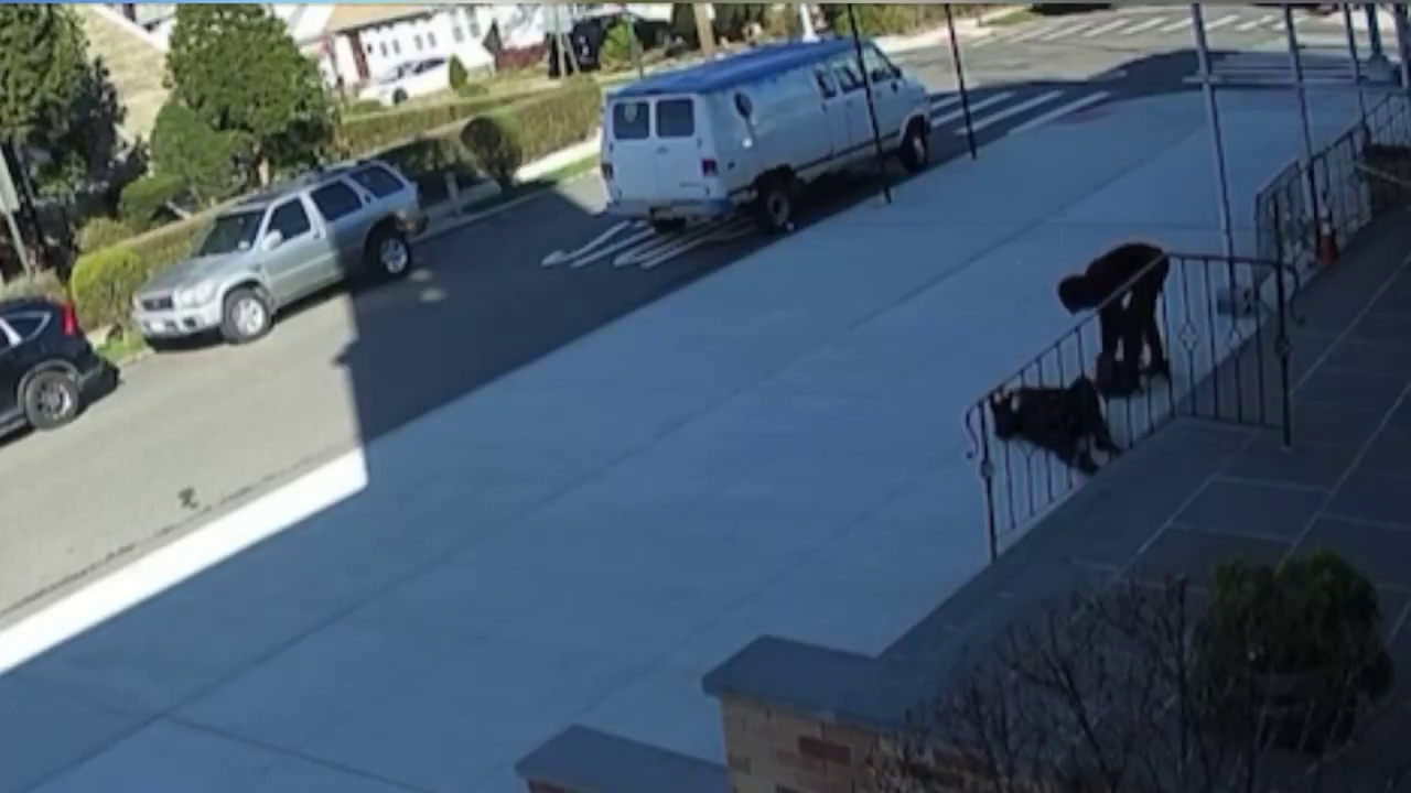 Criminals Robbed A 68-Year-old Woman At The Entrance To The Church. Queens, New York