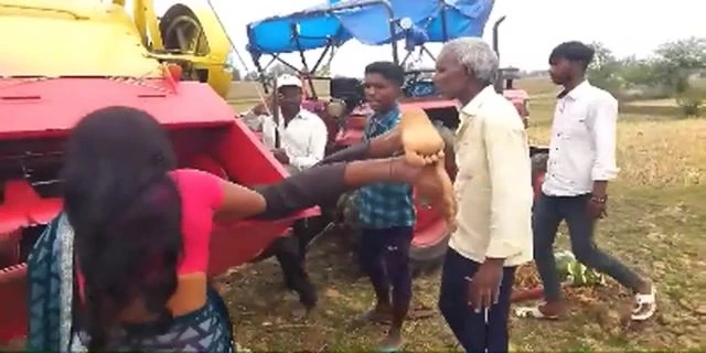 A Worker Died While Harvesting Wheat. India