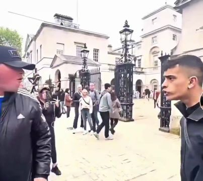A TikToker Gets Arrested By Armed Police At The King's Guards In London