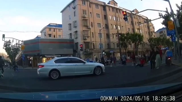 The Idiot Wasn't Hurt