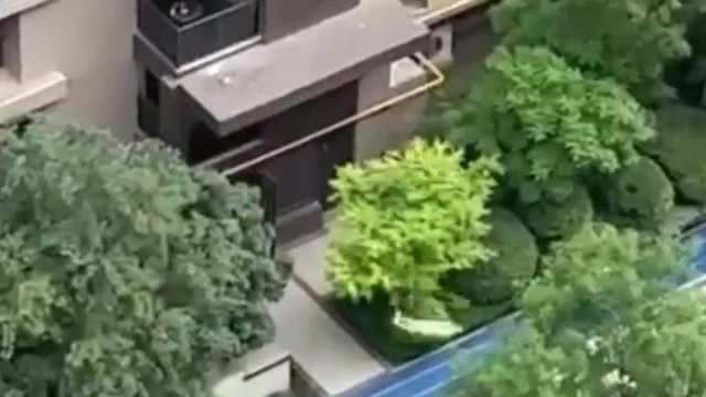 Suicide Jump From The Top Floor Of The House