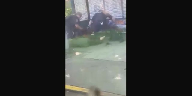 Seattle Police Brutality