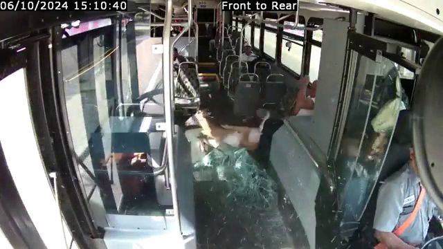 Deer Crashes Through Bus Windshield In The U.S. State Of Rhode Island