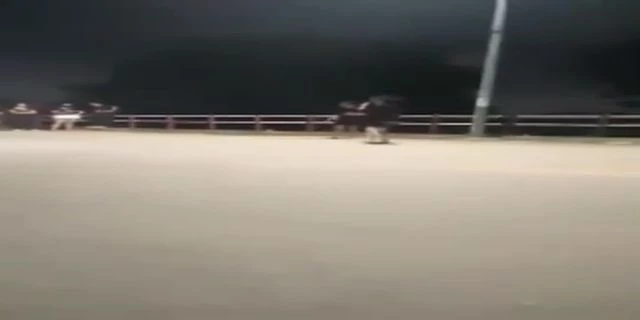 A Fight Between Two Vietnamese Girls On The Road