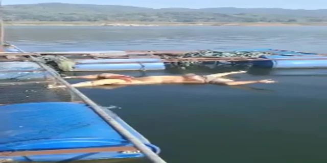 The Swollen Corpse Of A Woman Was Washed Up By The Current To The Nets For Growing Clams