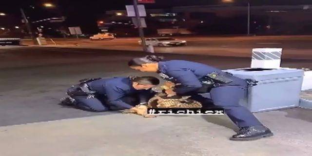 Two Female Cops Struggle To Handcuff The Suspect While Bystander Has Some Fun With Police Bodycam