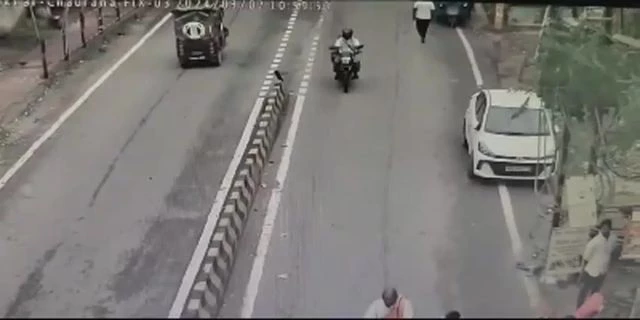 During A Severe Storm, A Huge Palm Tree Killed Two Men Riding A Motorcycle