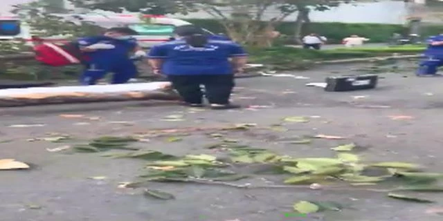 A Huge Tree Branch That Fell Killed 2 People, 3 Were Injured