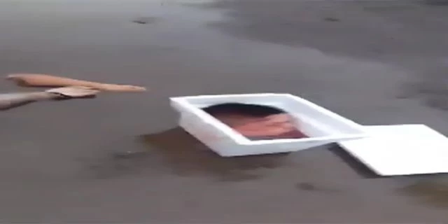 Man Believed To Be Cartel Member Displays A Mans Decapitated Head That Was Left In A Cooler