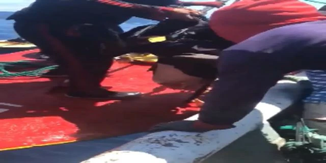 Fishermen Rescued A Man Whose Leg Was Bitten Off By A Shark