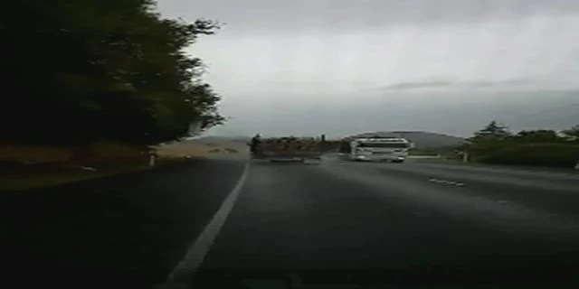 Two Timber Trucks Collided On January 21 On The Road Connecting Tokoroa To Rotorua, On The North Island Of New Zealand